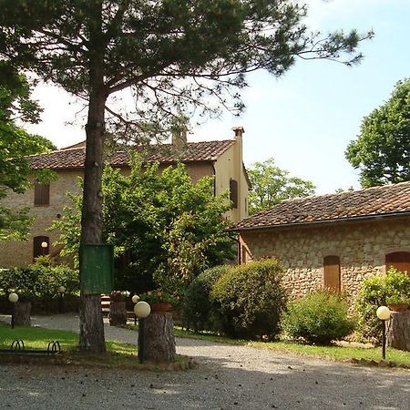 Agriturismo Il Prato Палайя Екстер'єр фото